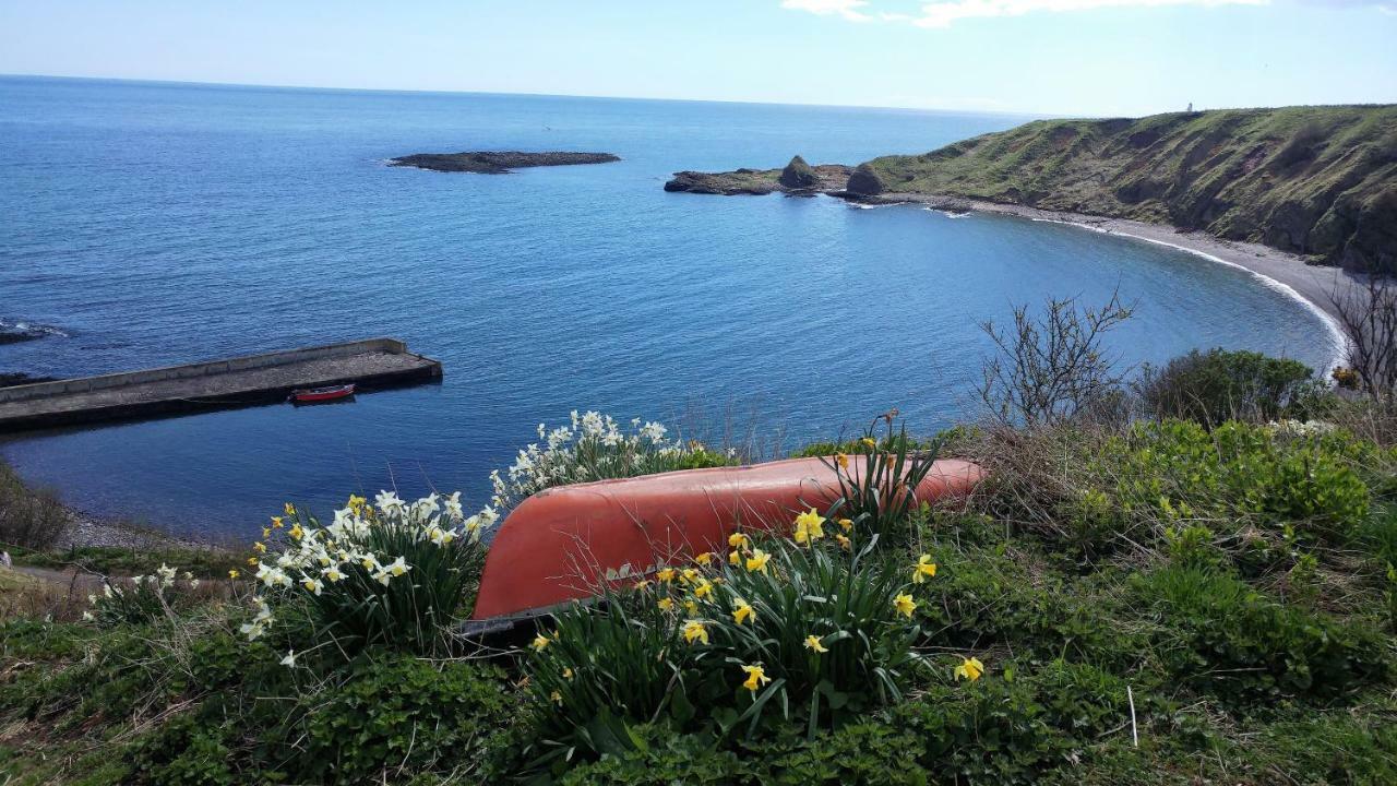 Villa The Boathouse à Stonehaven Extérieur photo